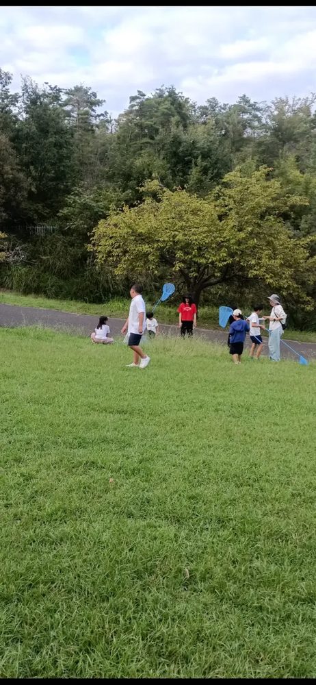 大和民俗公園の広い芝生で虫を探す子どもたち