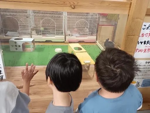 宇陀アニマルパークでうさぎの展示をのぞき込む子どもたちの後ろ姿